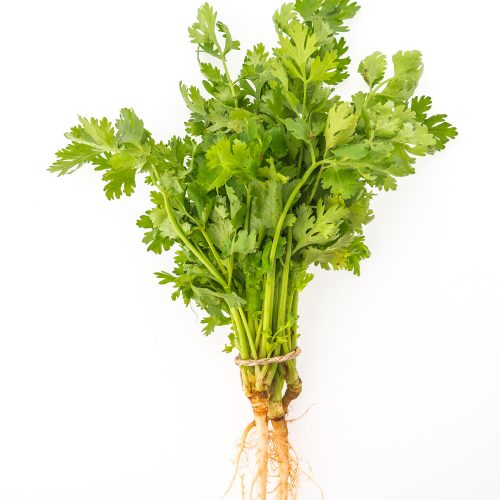 green coriander vegetables isolated on white background