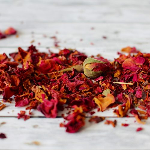 dry-flower-4032853_1920