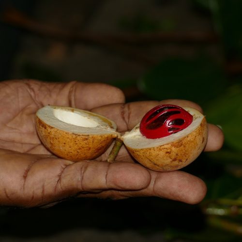 seasoning-4921370_1280